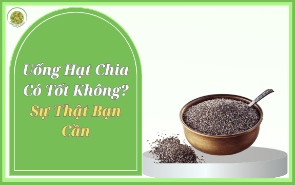 Uống Hạt Chia Có Tốt Không? Sự Thật Bạn Cần