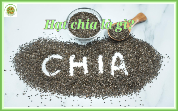 Uống Hạt Chia Có Tốt Không? Sự Thật Bạn Cần