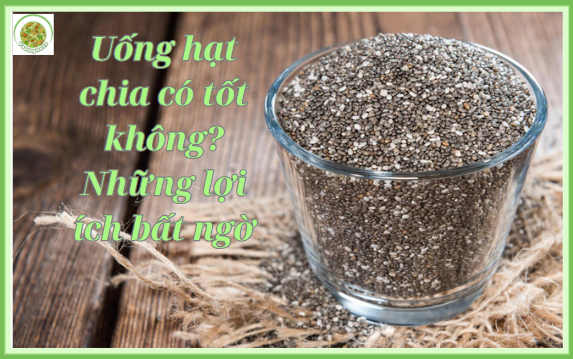 Uống Hạt Chia Có Tốt Không? Sự Thật Bạn Cần