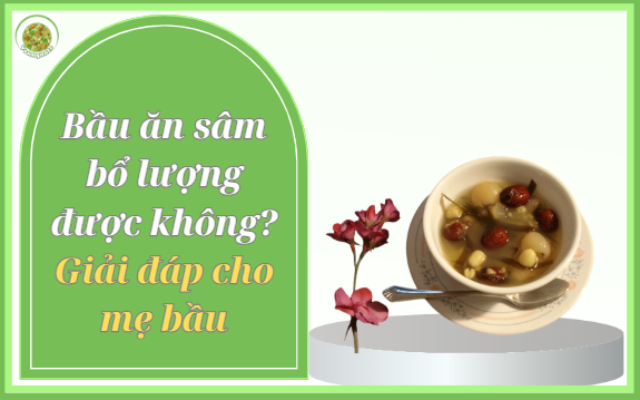 Bầu ăn sâm bổ lượng được không? Giải đáp cho mẹ bầu