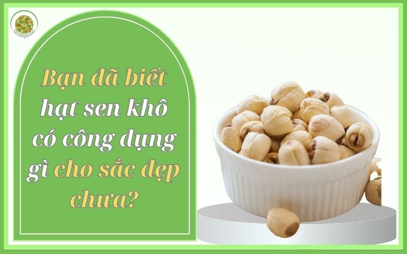 hạt sen khô có công dụng gì